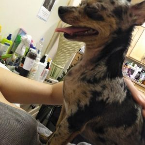 Meet your Posher, Lori